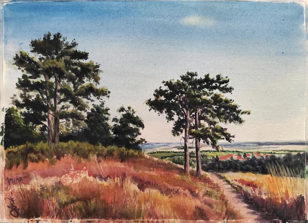 Hilltop Walk