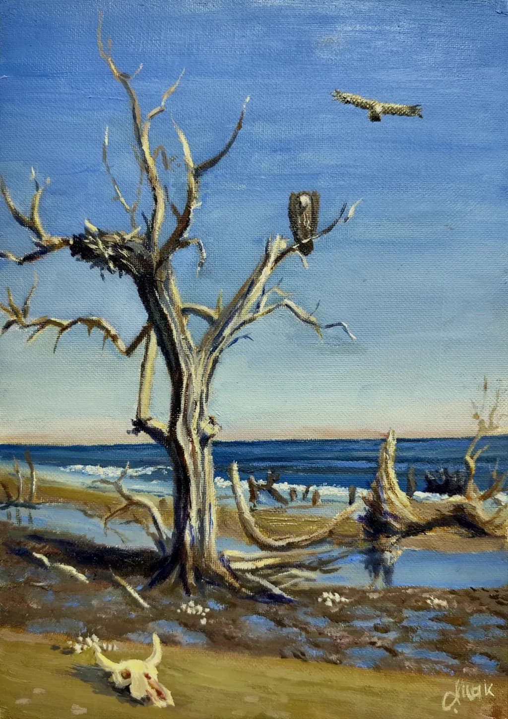 Coastal Remnants