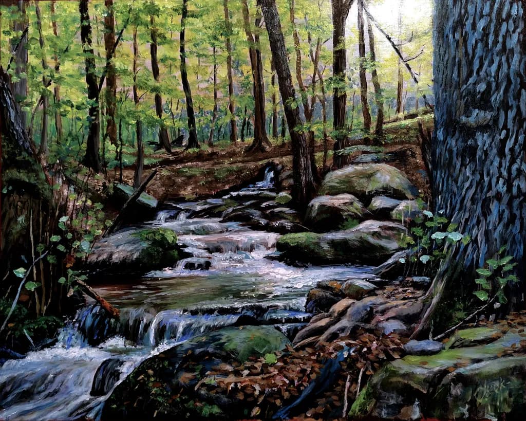 Forest Stream Cascade
