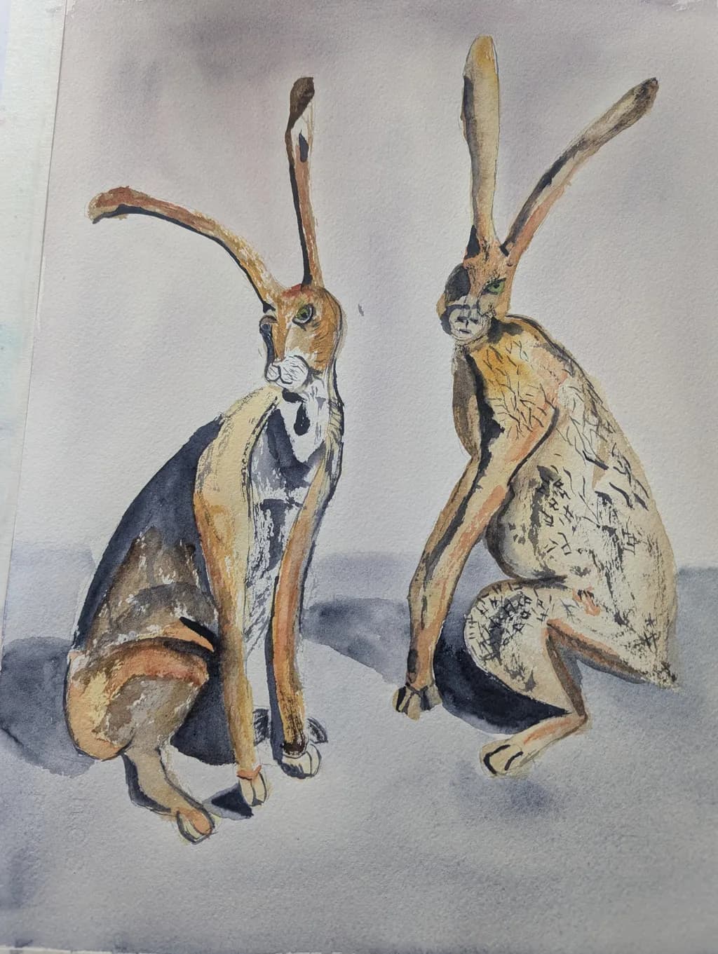 Curious Hares