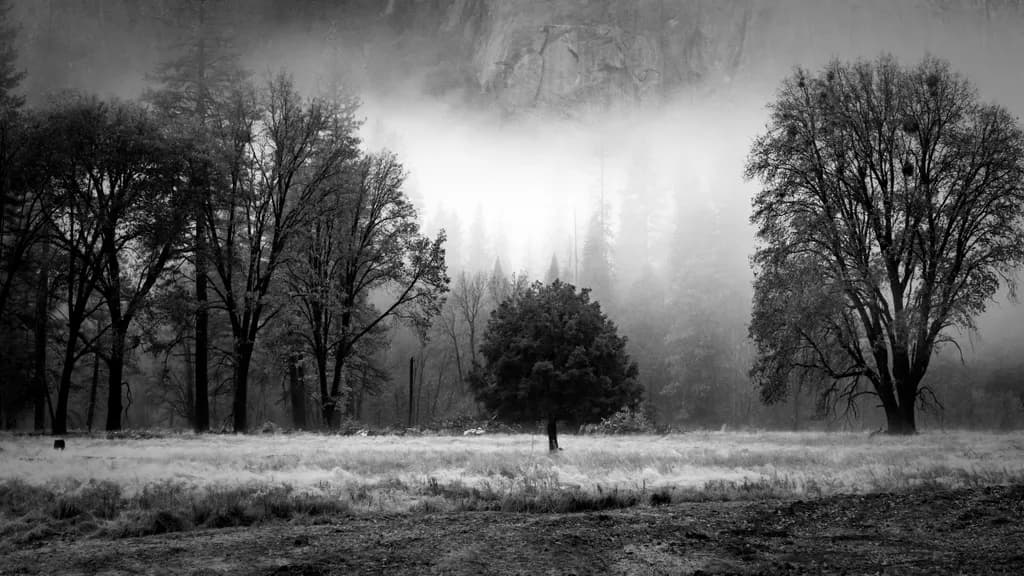 Yosemite Contrast