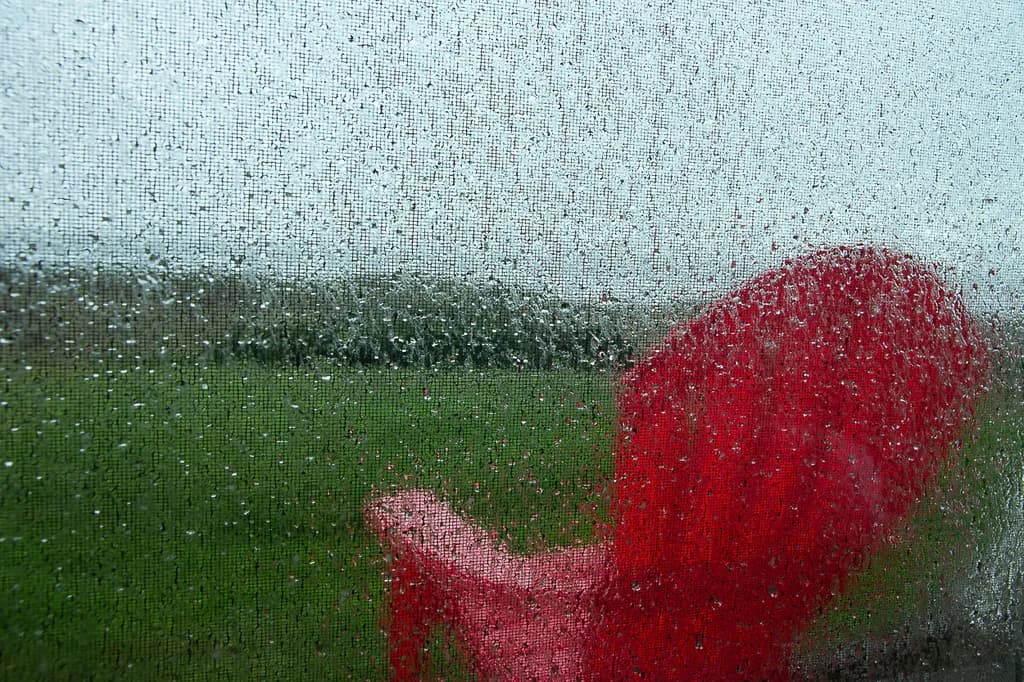 Rain-Kissed Chair