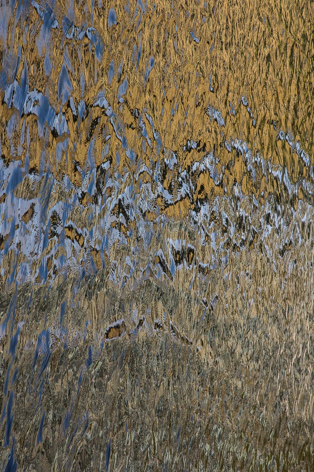 Lusitana Ripples