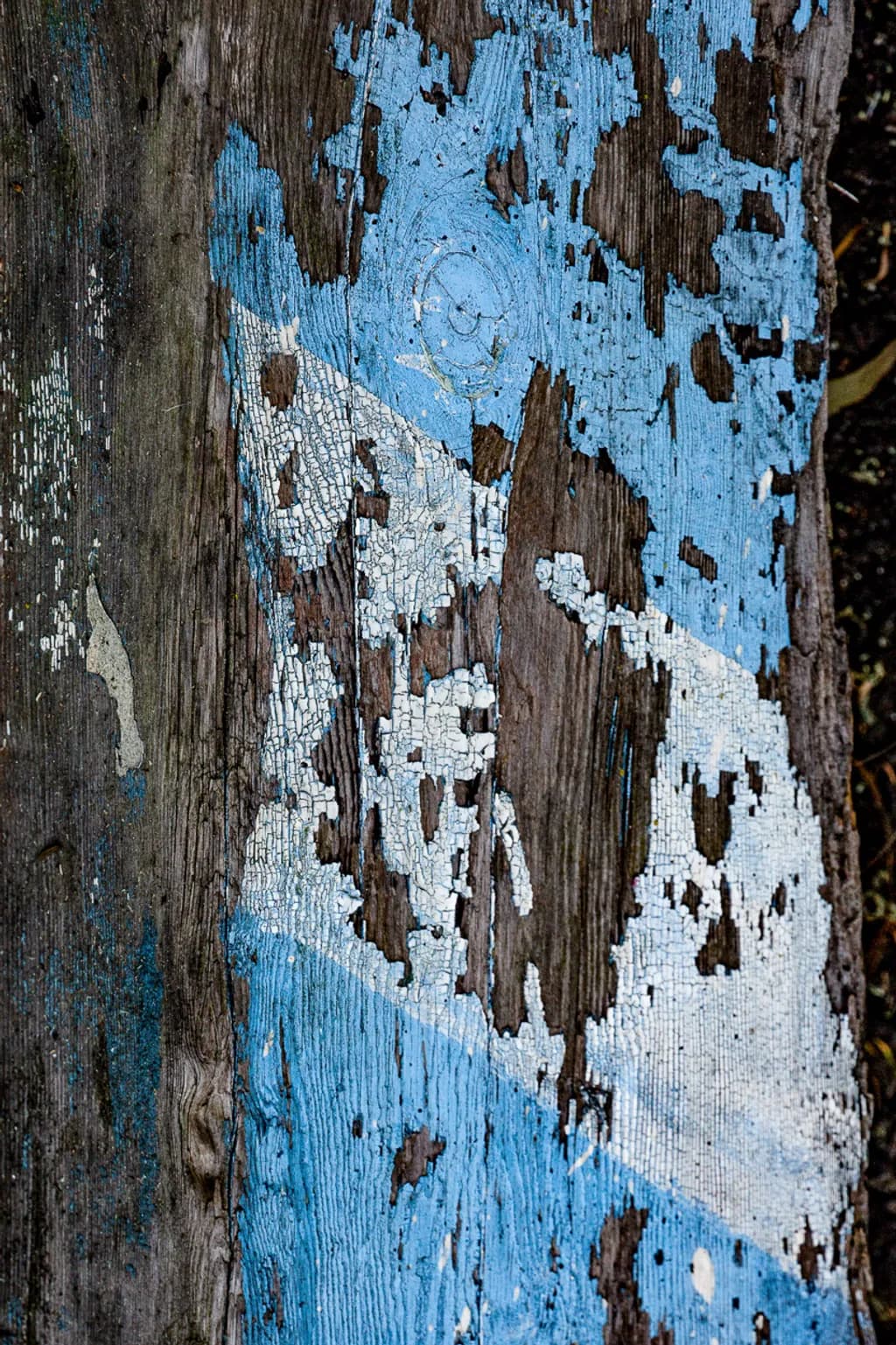 Lusitana Weathered Wood