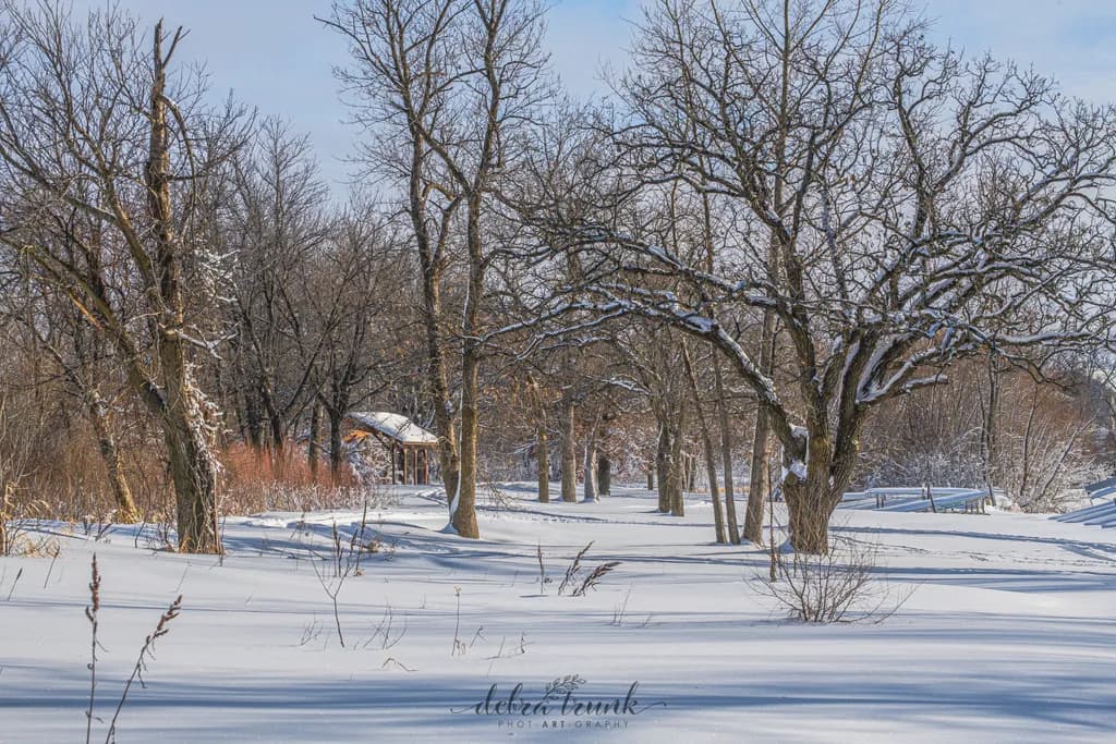 Snow-Covered Pavilion