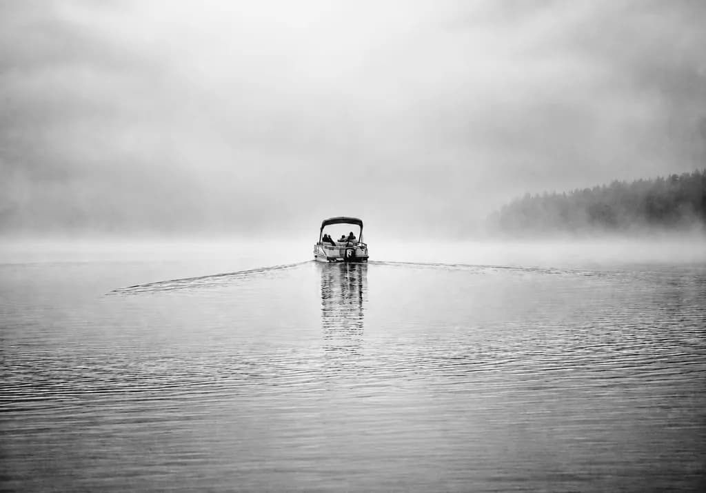 Into the Mist