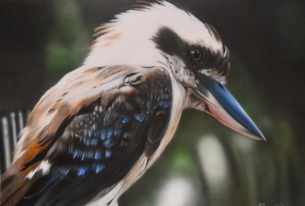 Blue-Beaked Kookaburra