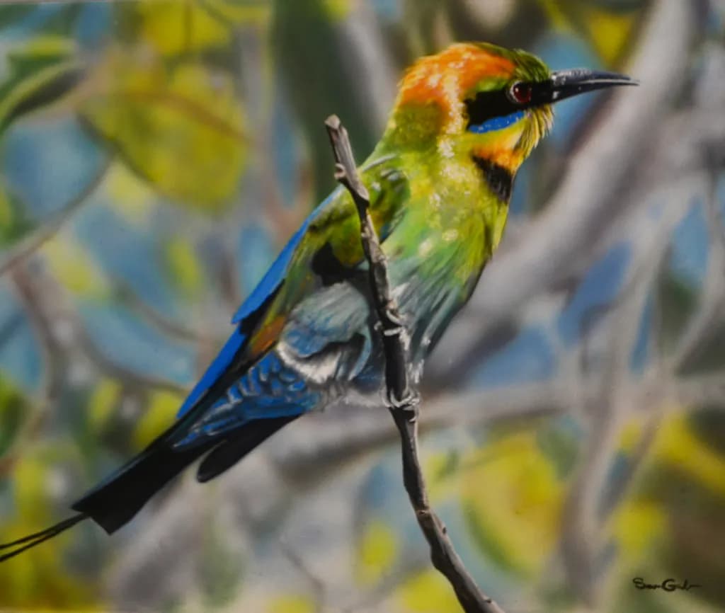 Rainbow Perch