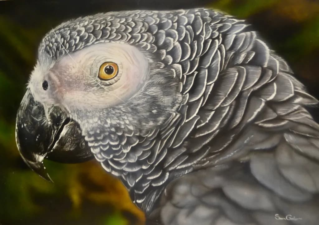 Silver Grey Glance