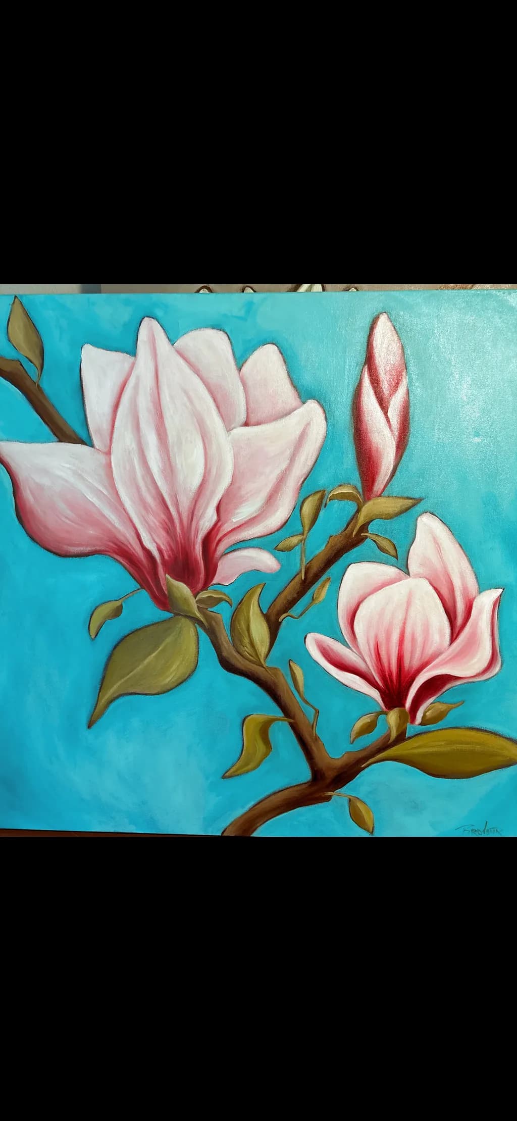Magnolia Bloom