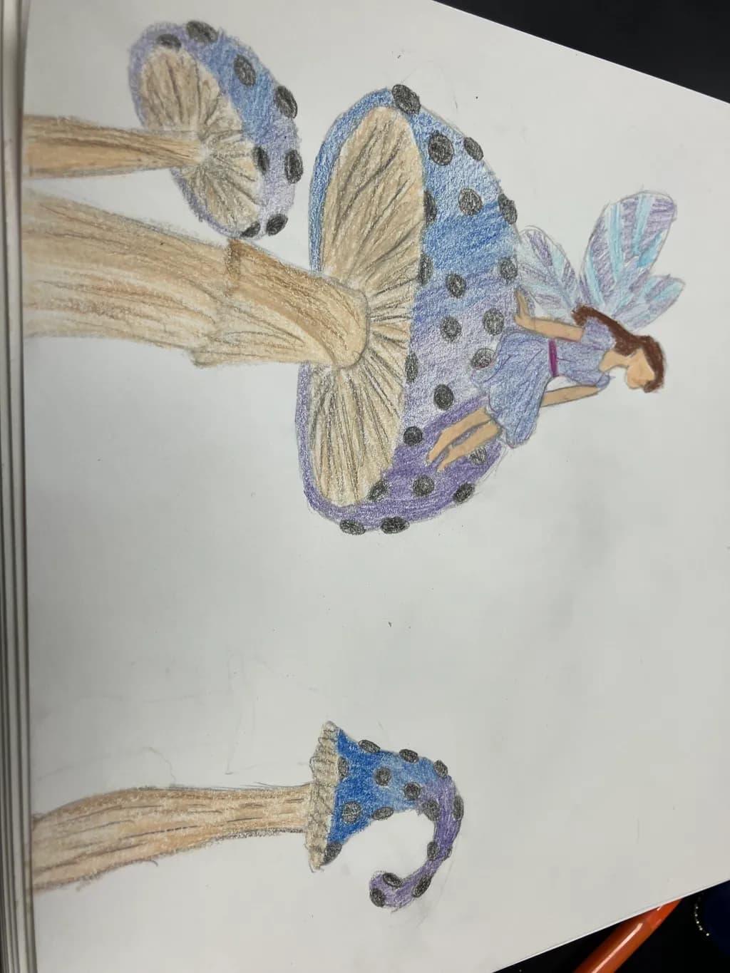 Mushroom Fairy Realm