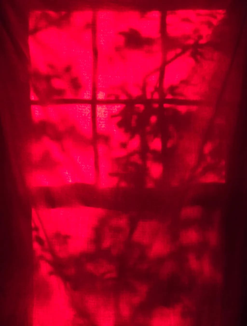 Crimson Silhouette