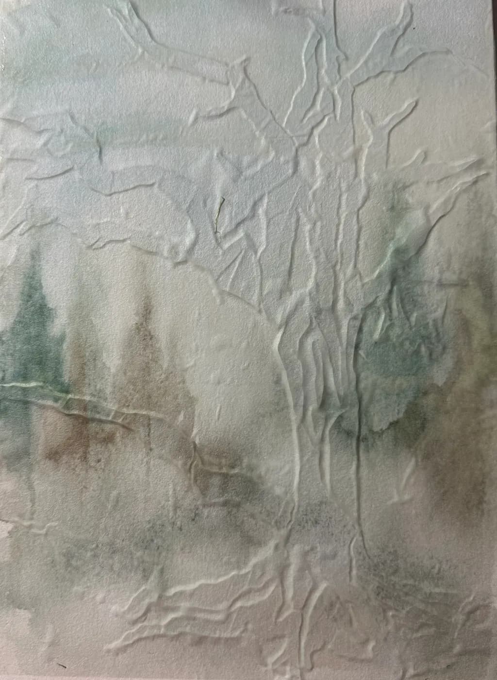 Frosted Branches