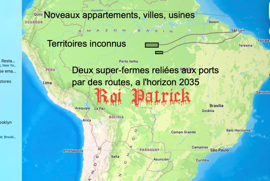 Future Amazon Development 2035