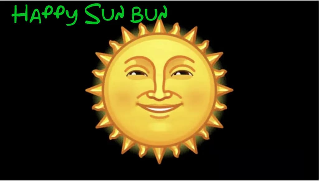 Happy Sun Bun
