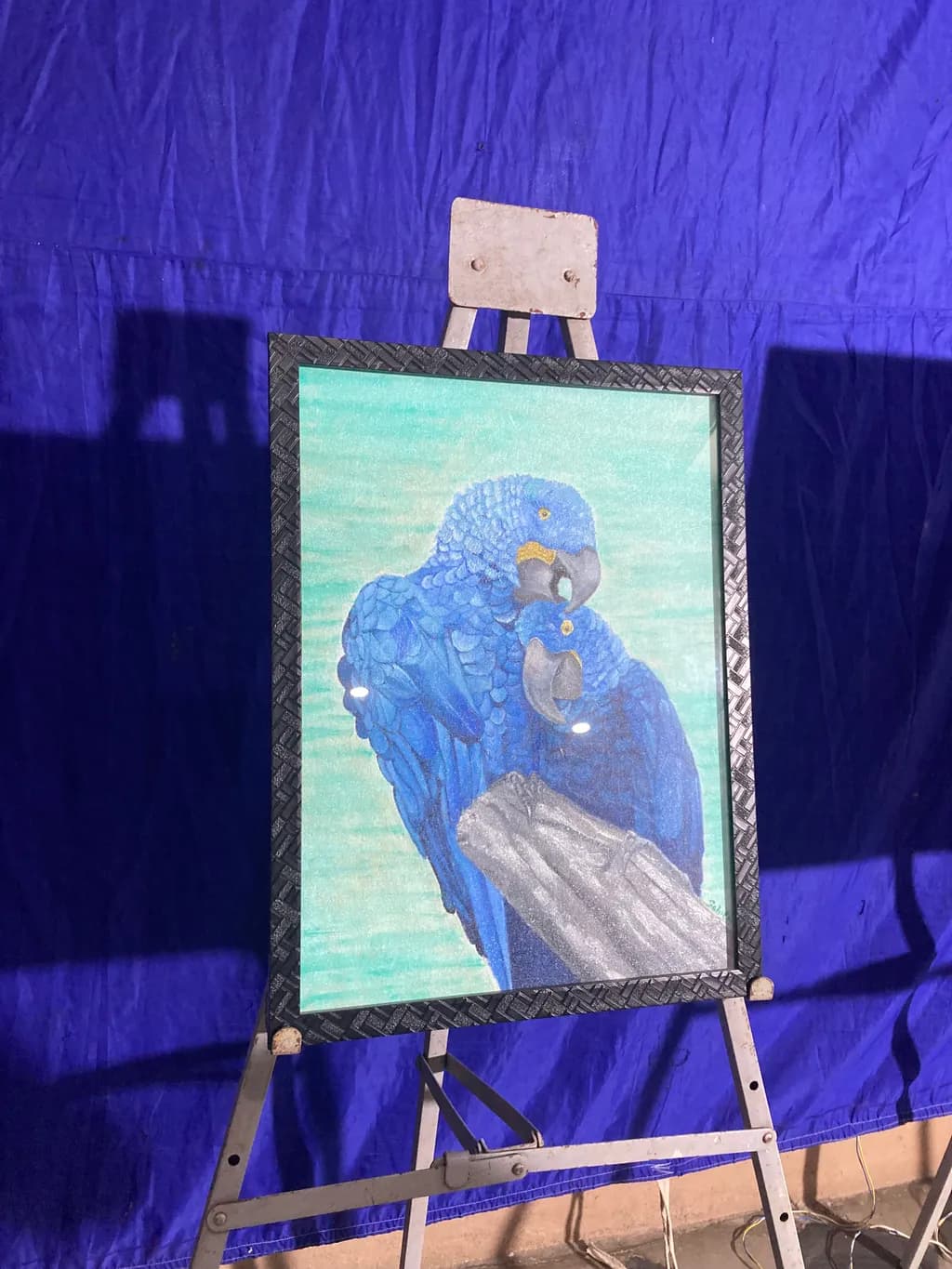 Blue Parrot Embrace
