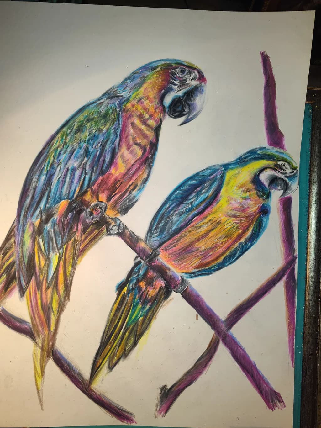 Colorful Parrots Perched