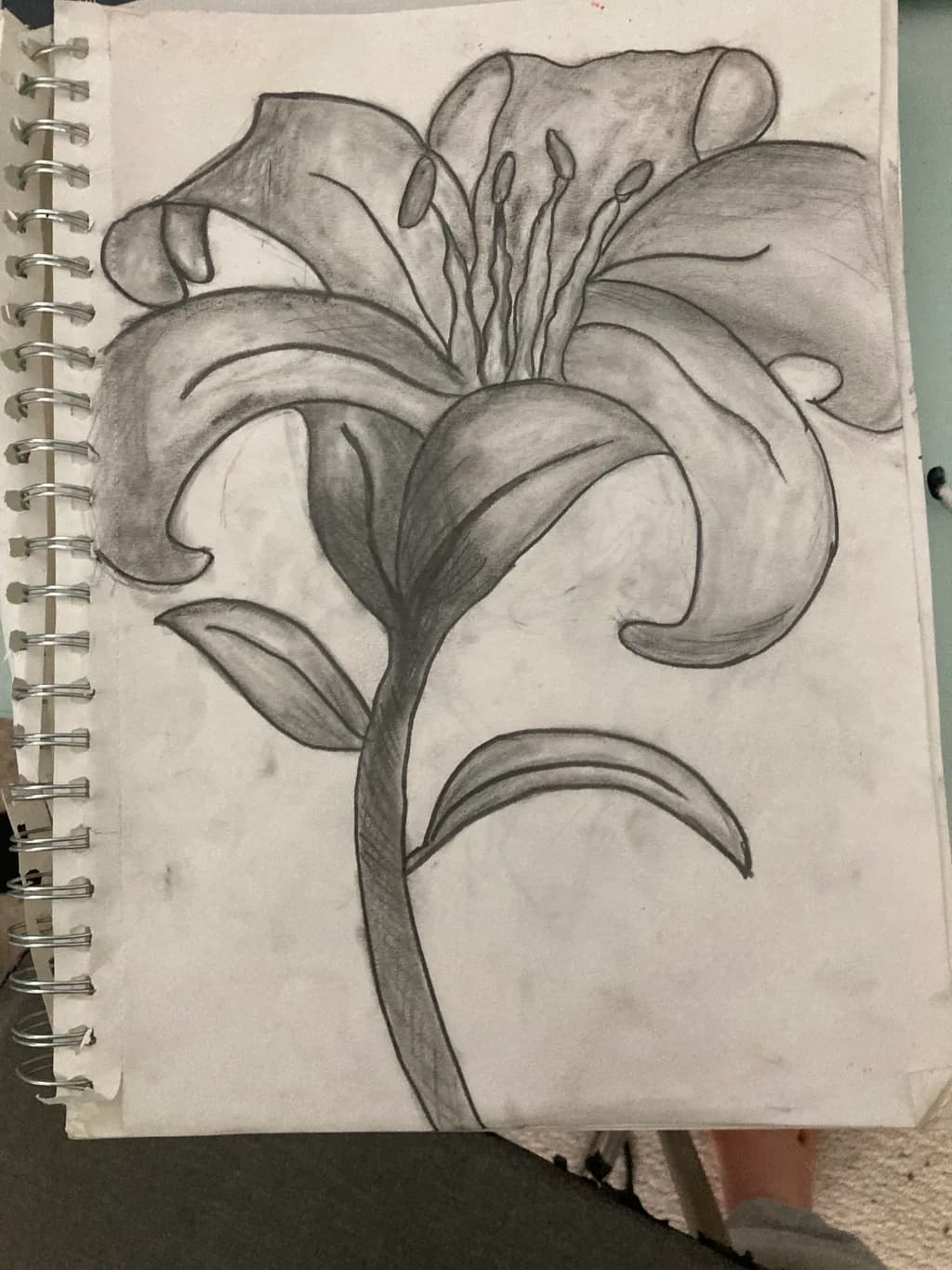 Blooming Lily