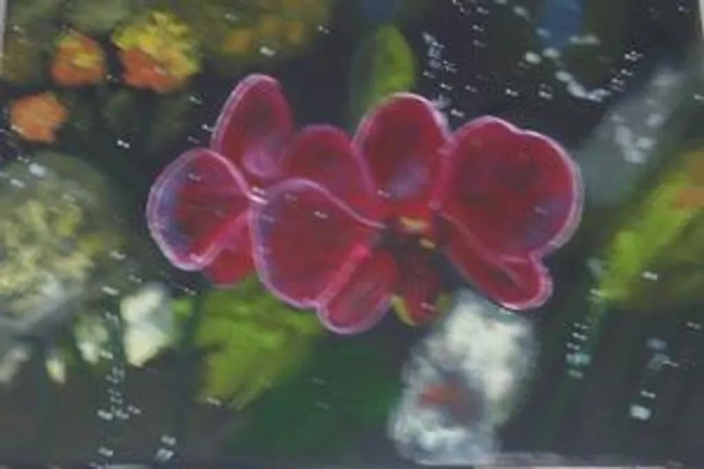 Orquideas Glow