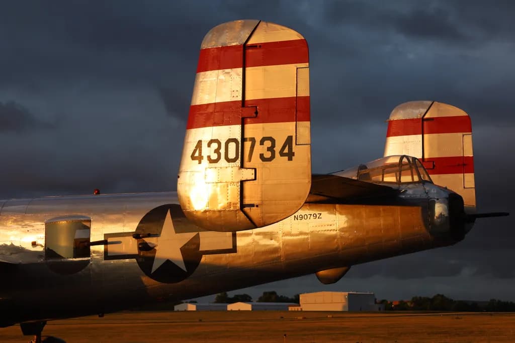 Golden Tailfins