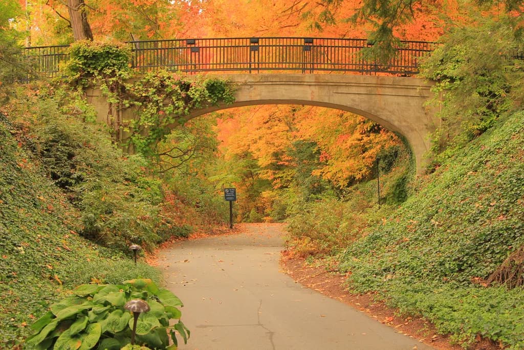 Longwood Fall Colors