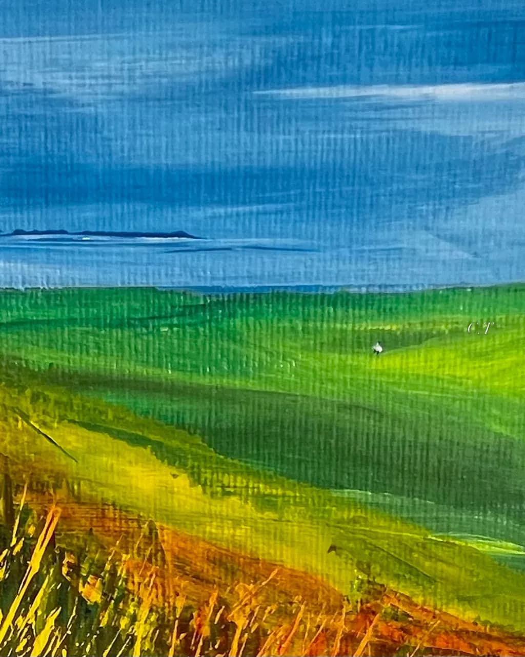 Rolling Green Fields