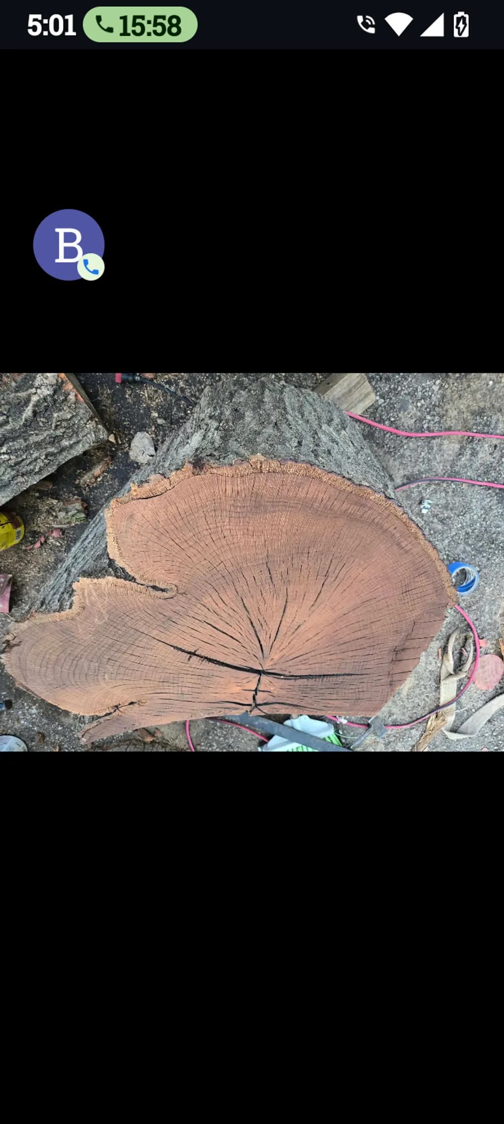 Tree Ring Texture