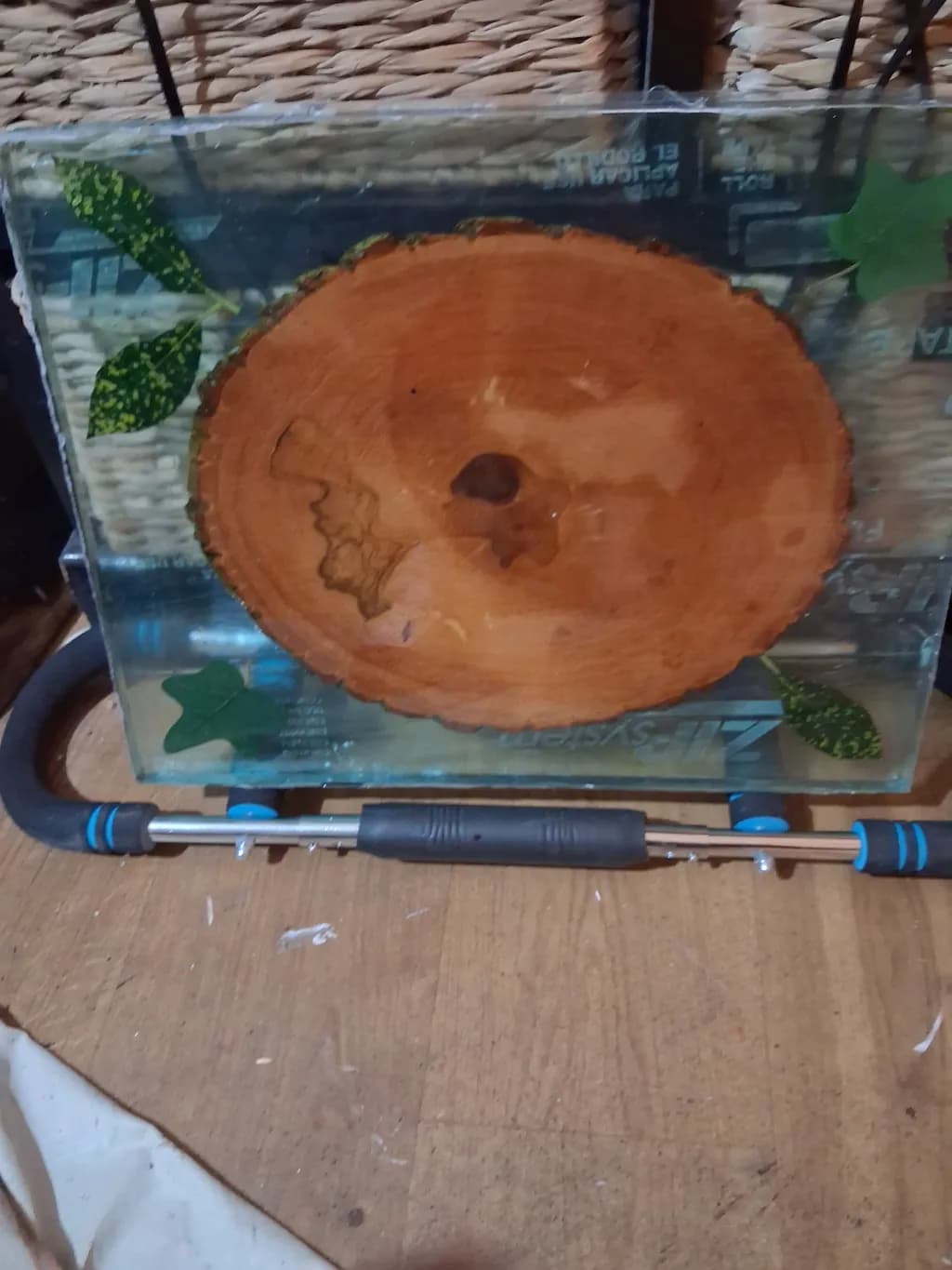 Encased Wood Slice