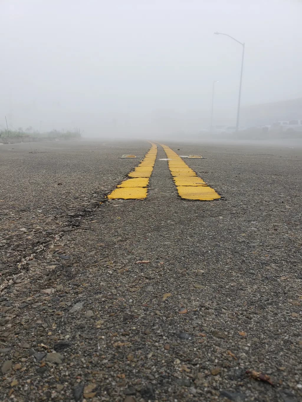 Foggy Road View