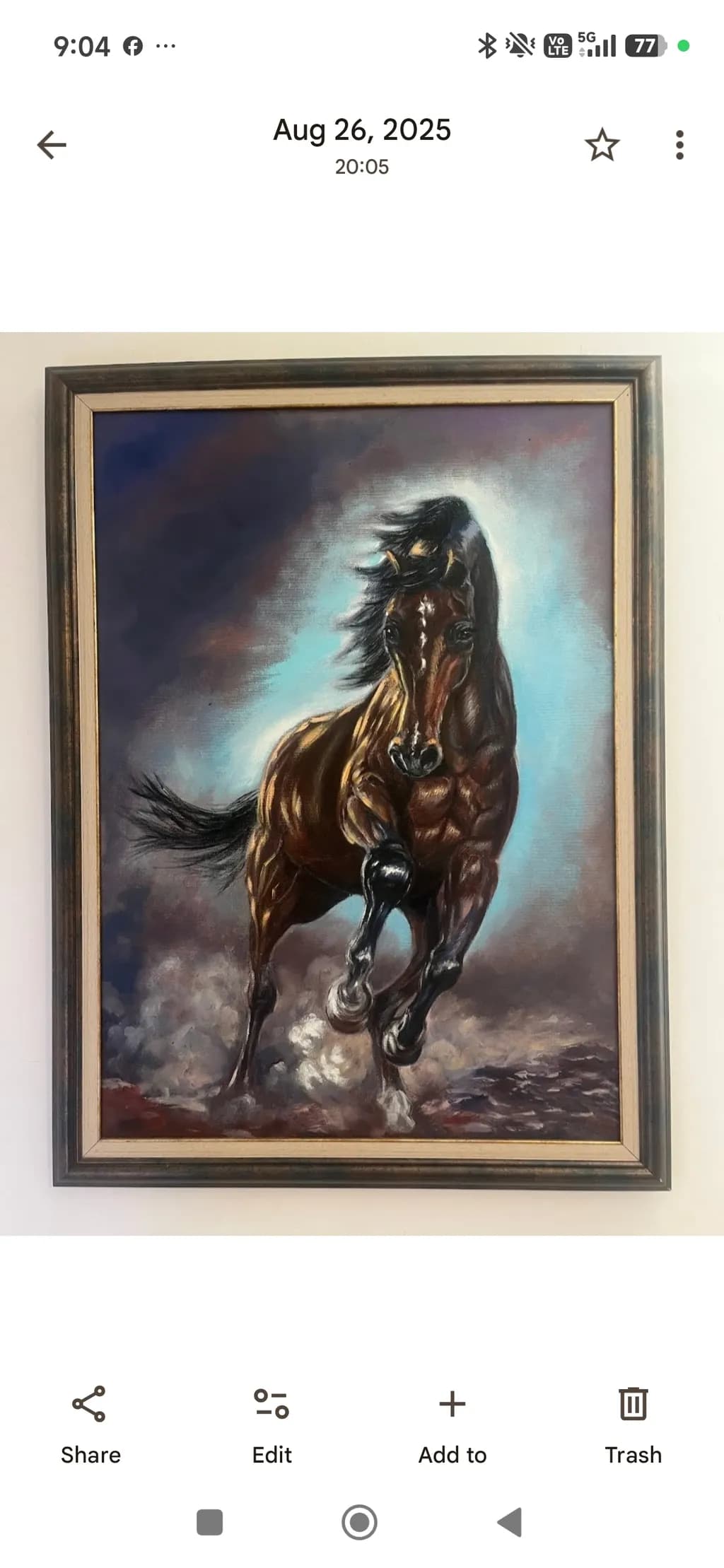 Charging Stallion