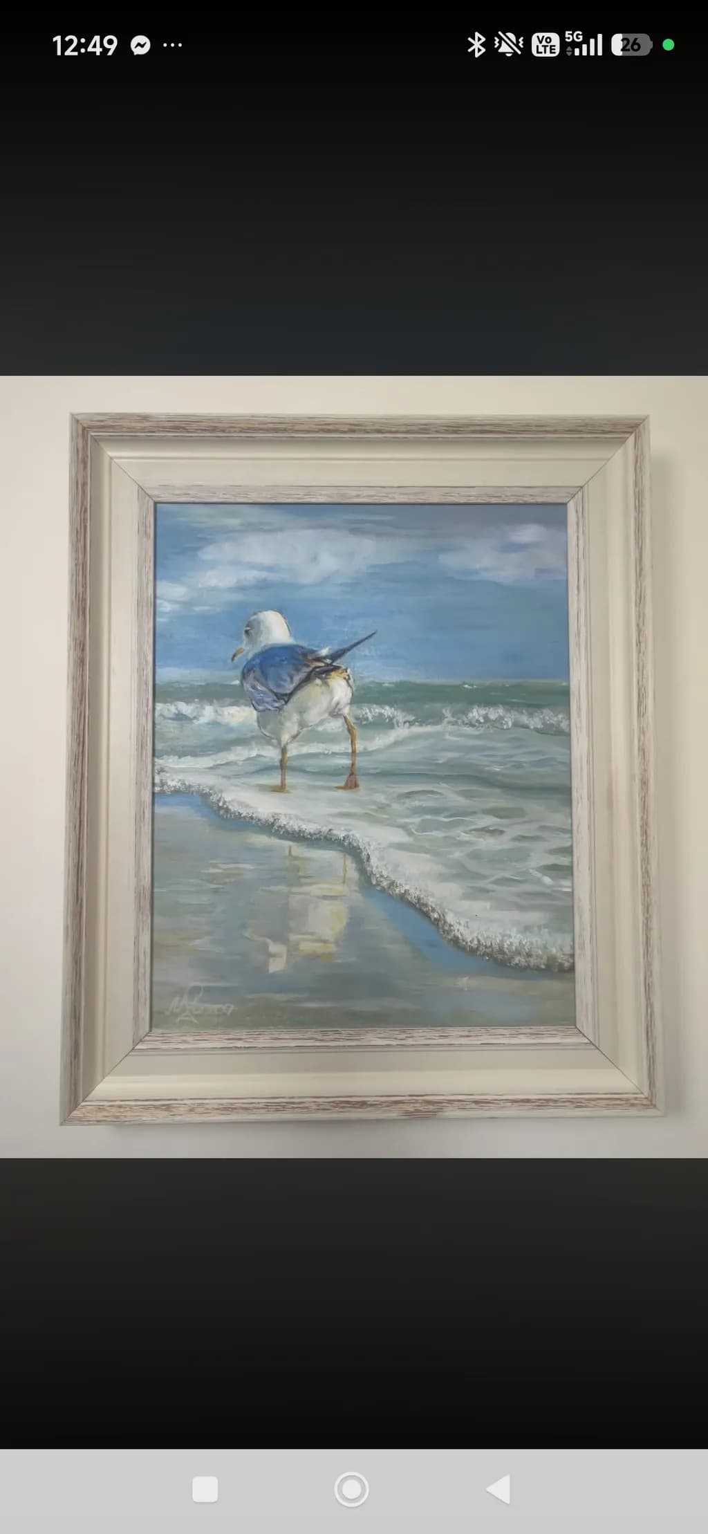 Coastal Gaze