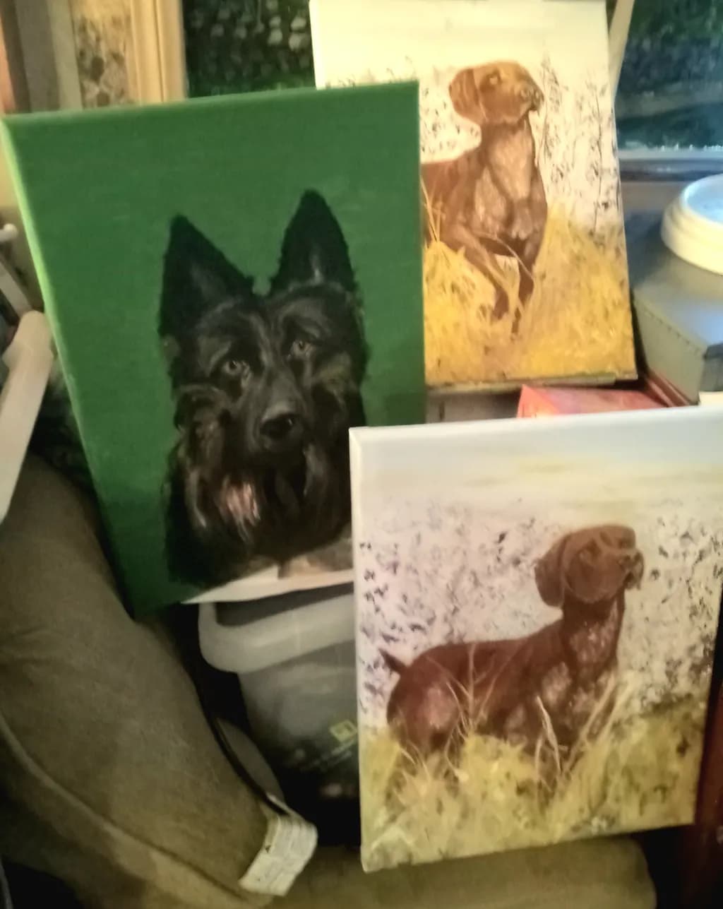 Canine Sentinels