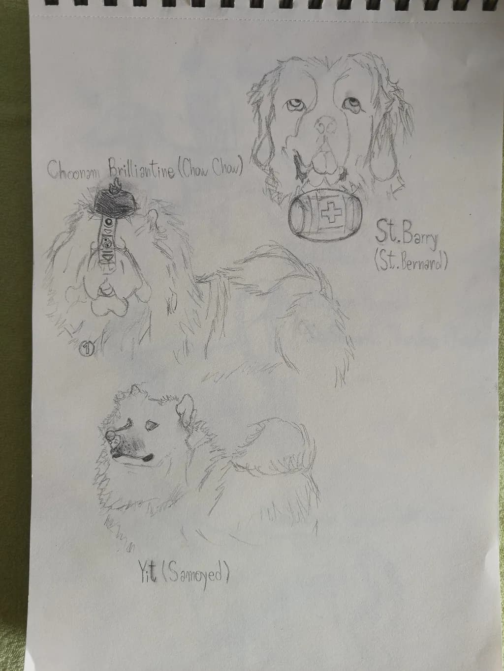 Furry Companions Study