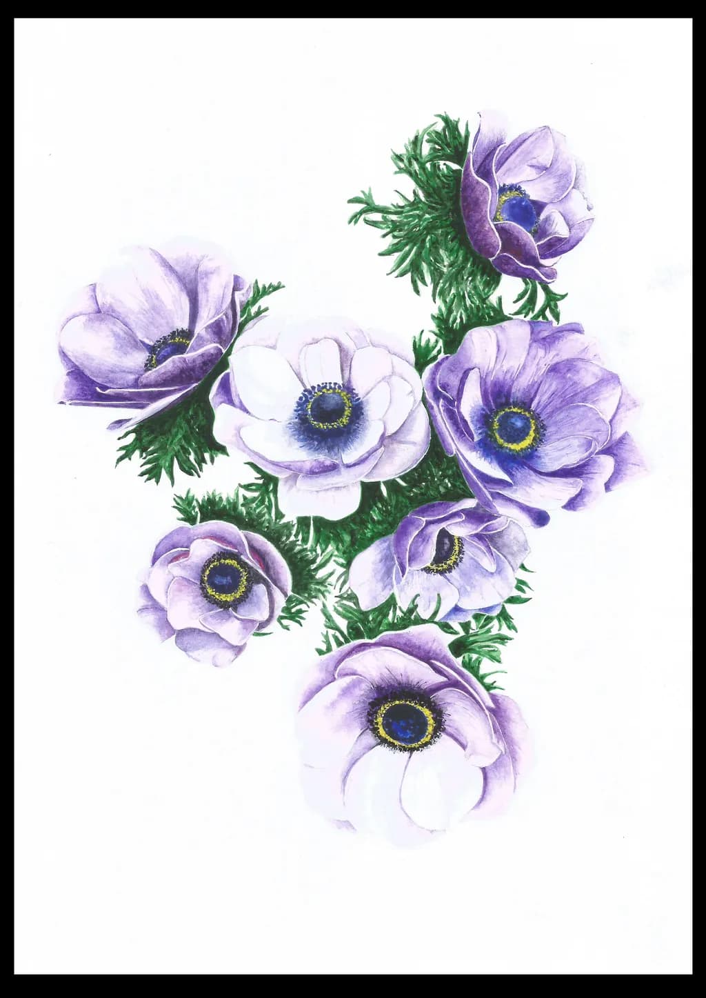 Anemones in Violet
