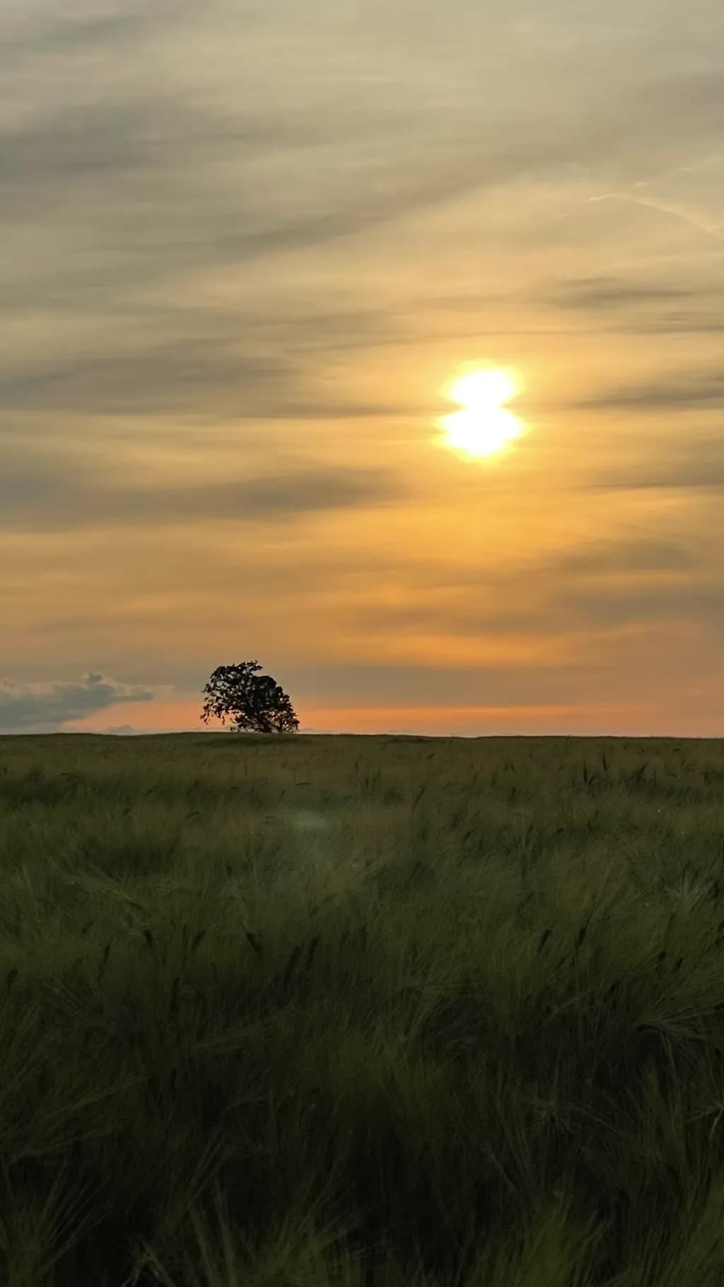 Lone Horizon