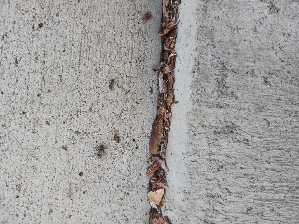 Concrete Divide