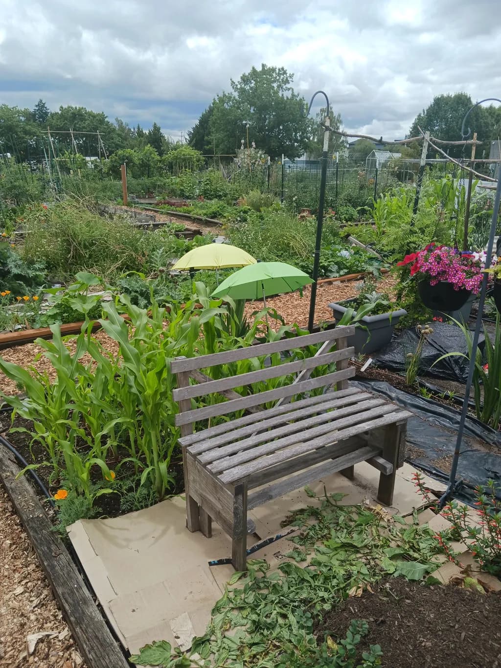 Garden Retreat