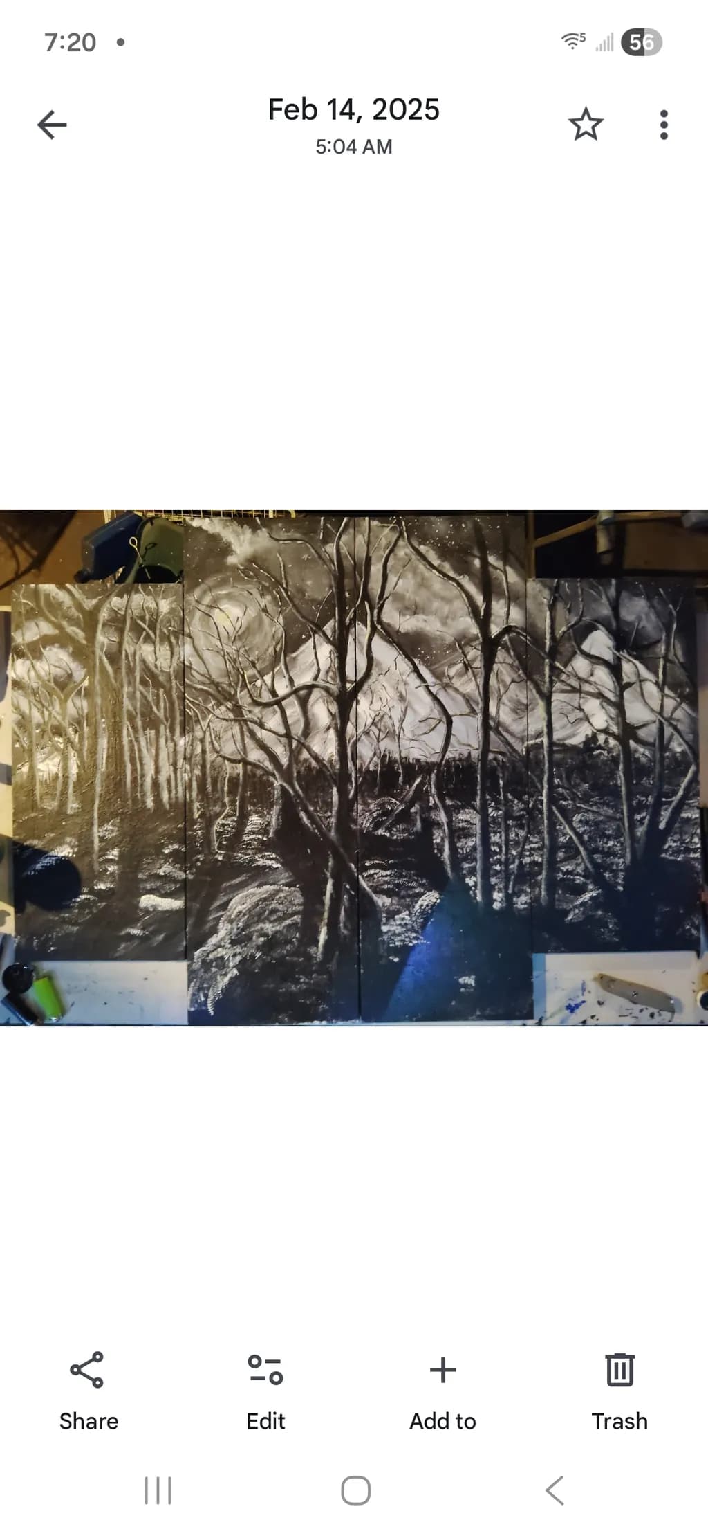 Moonlit Forest Shadows