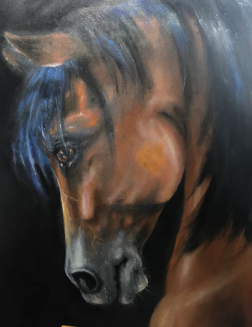Shadowed Stallion