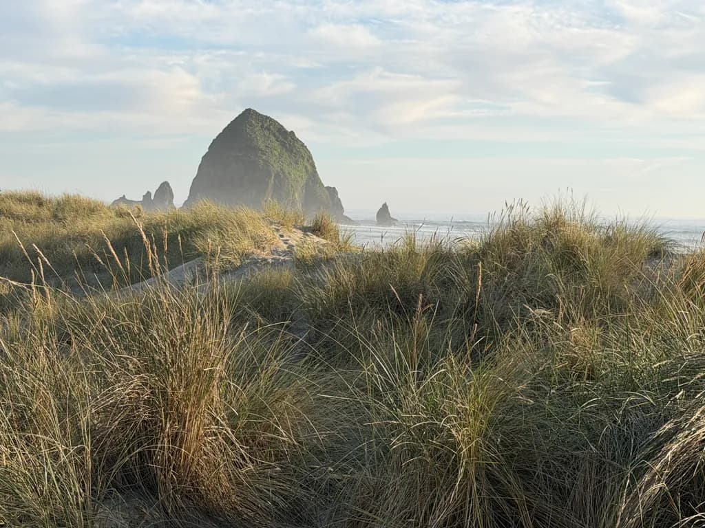 Coastal Granite Sentinel