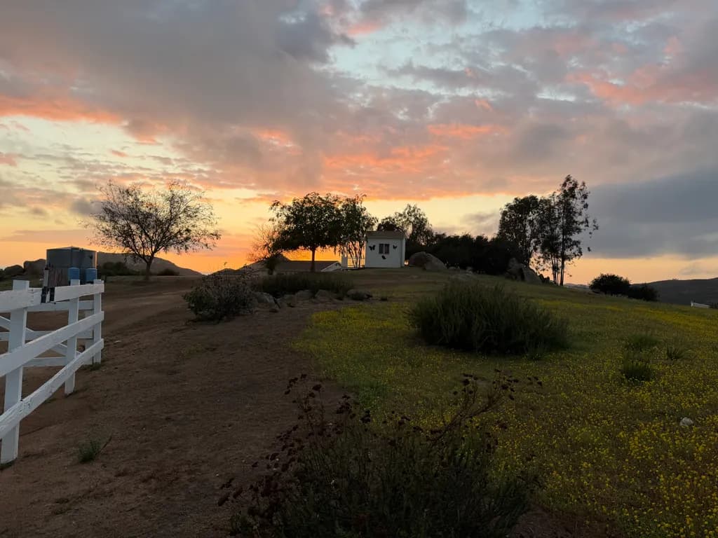 Golden Horizon Cottage