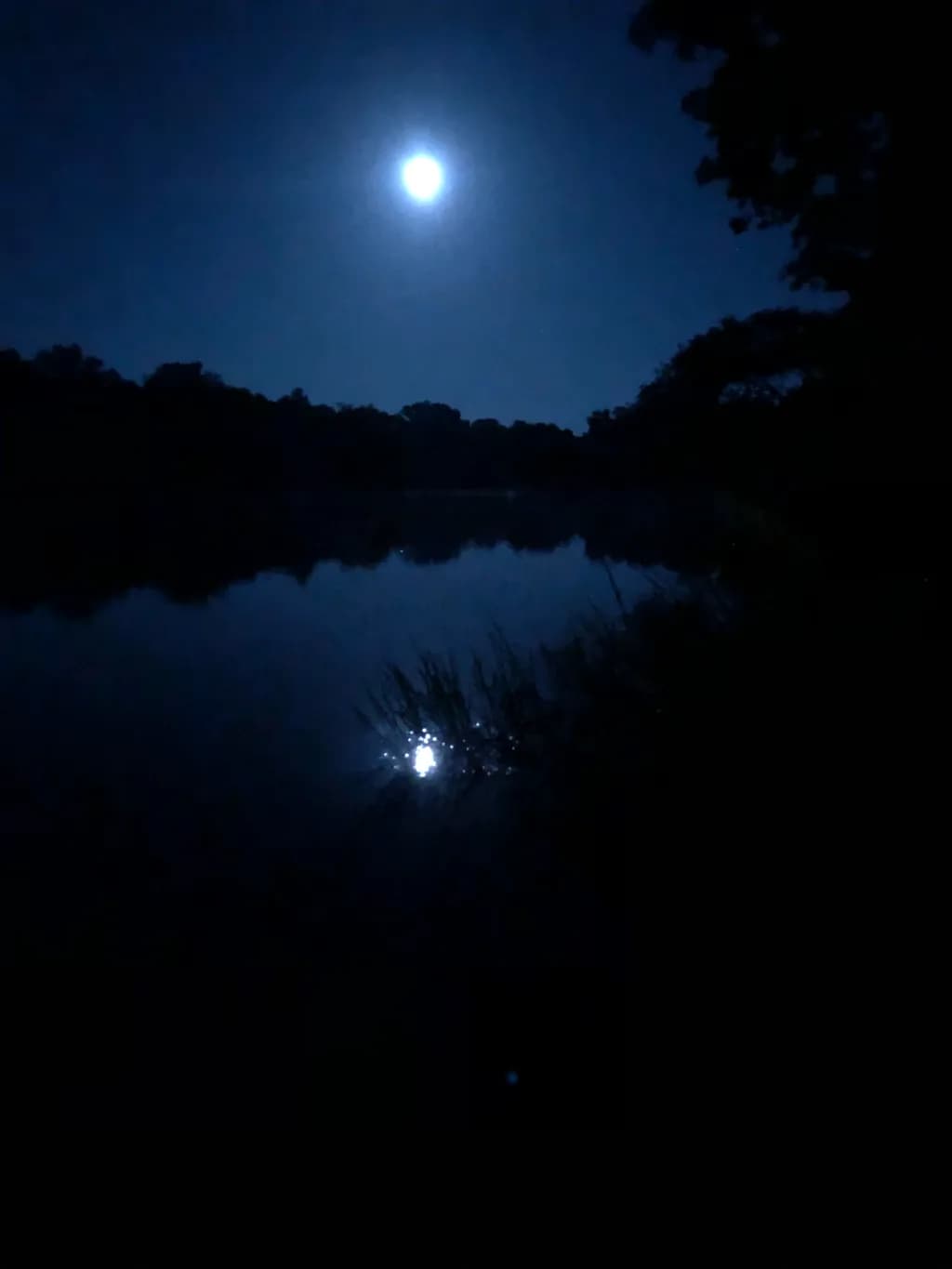 Midnight Reflection