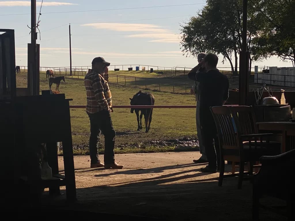 Farmstead Shadows