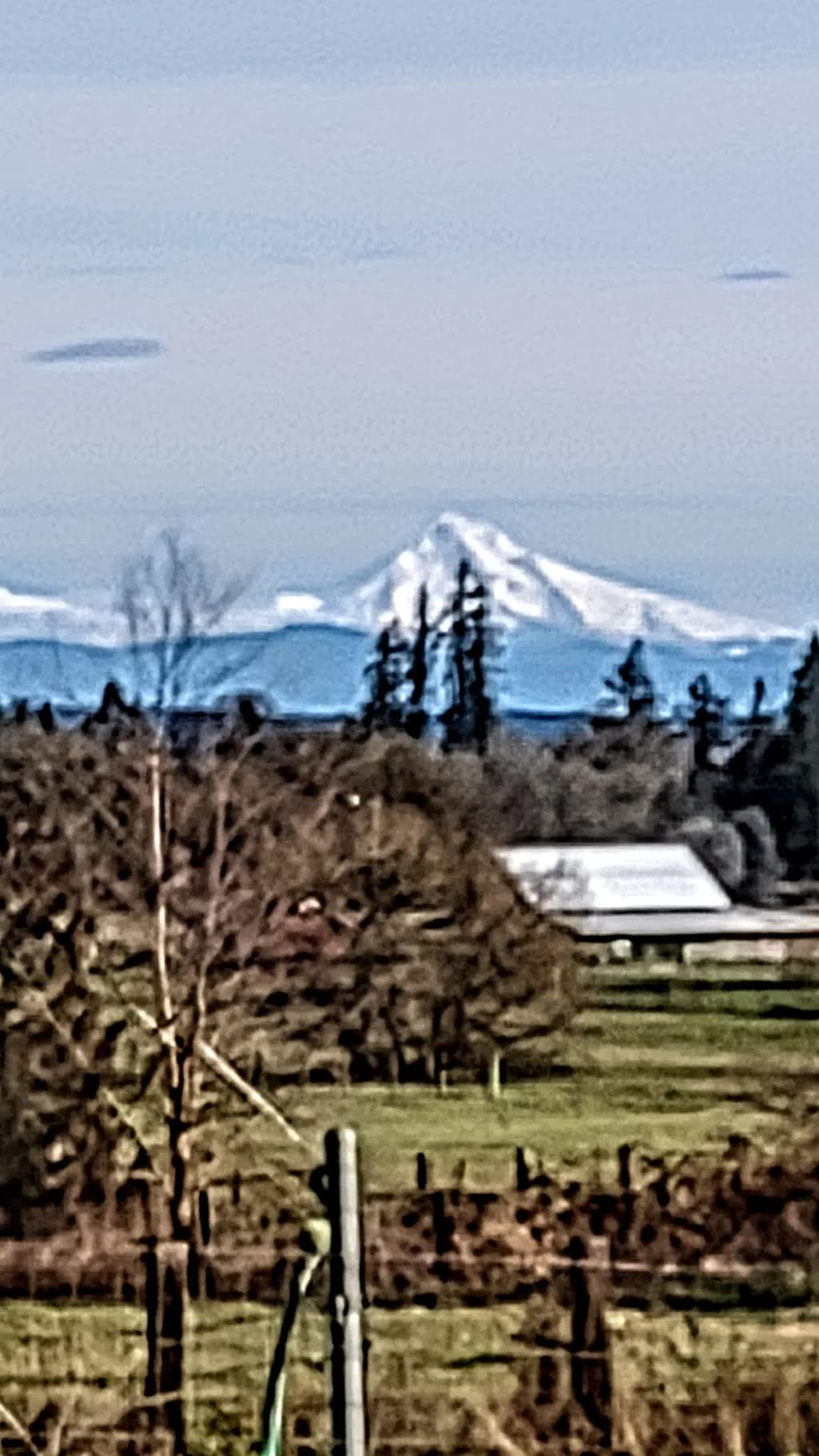 Distant Peak