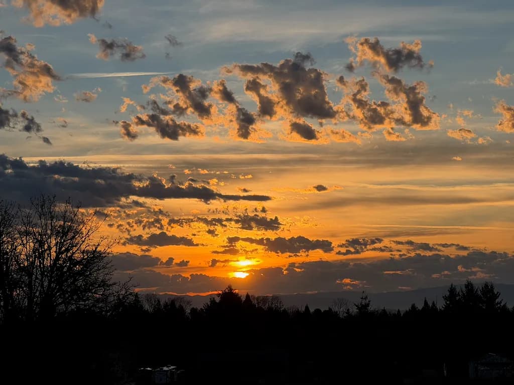 Golden Horizon