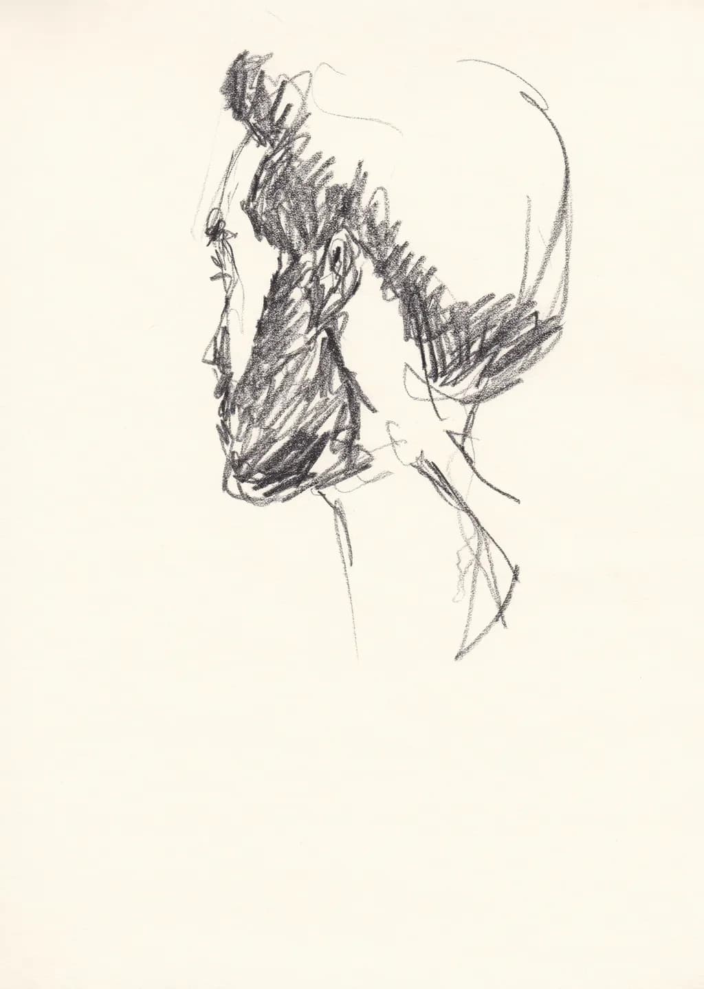 Sideview Sketch