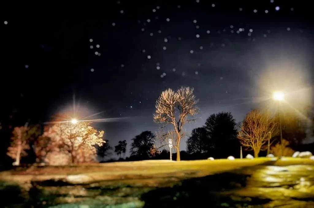Luminous Nightscape