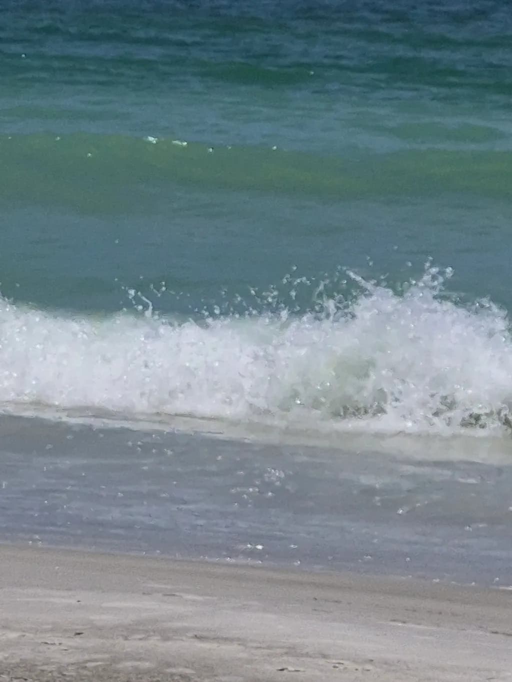Ocean Pulse