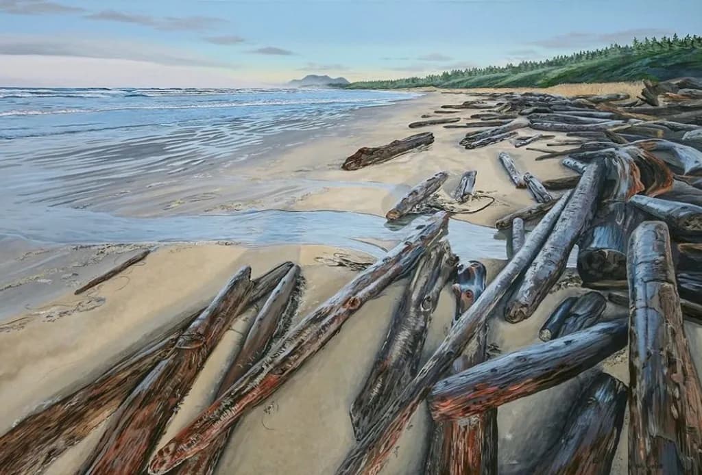 Driftwood Shoreline