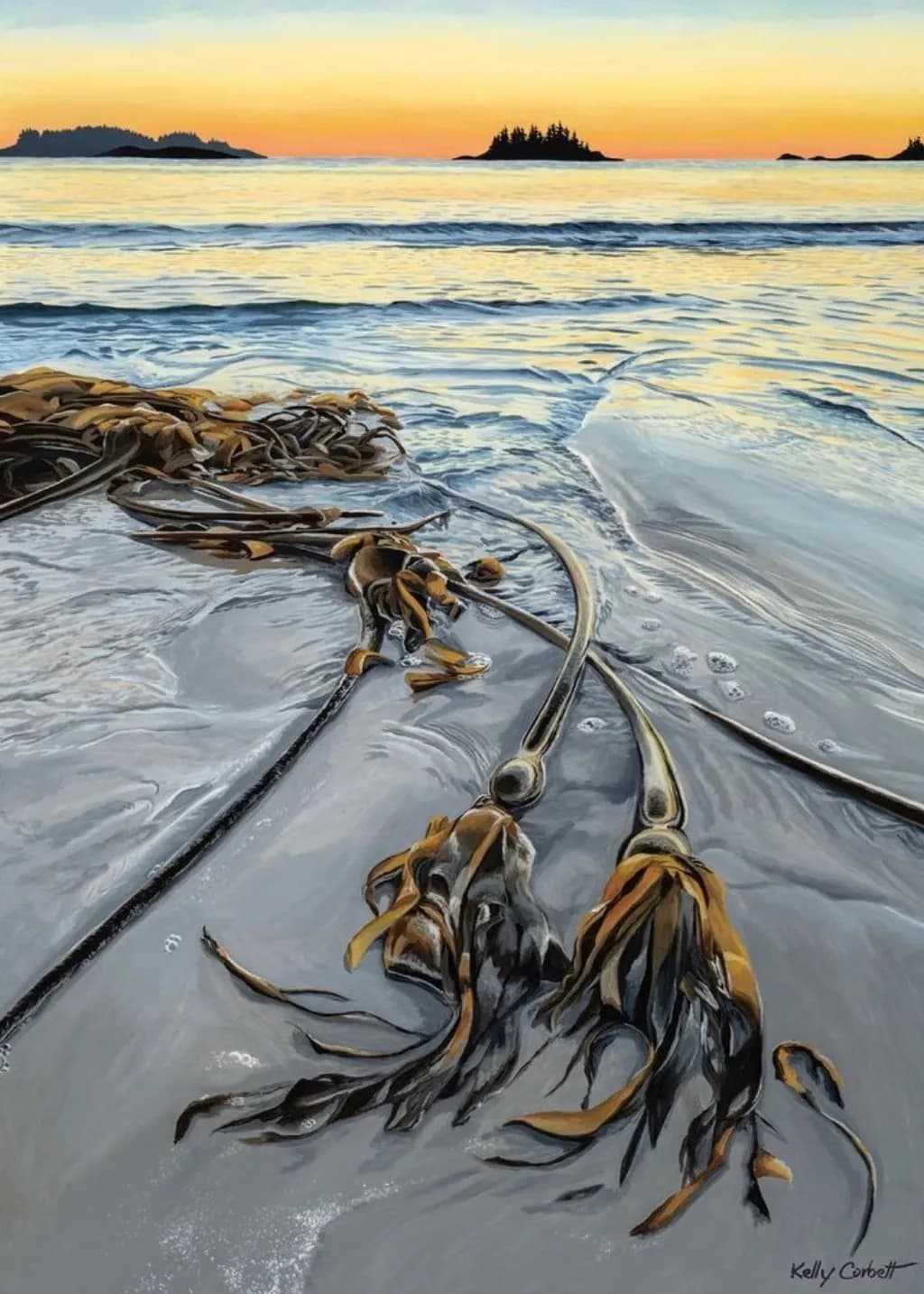 Tidebound Kelp